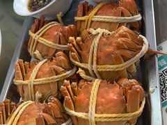 -乡乐园蟹庄·阳澄湖农家乐