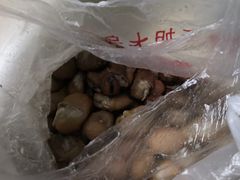 乌豆-洪湖里王姐大乌豆