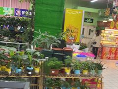 -大润发(张江店)