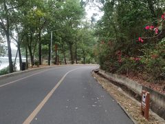 -红花湖景区