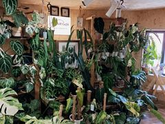 -Rabbit Cafe私房西餐甜点咖啡(栖霞路店)