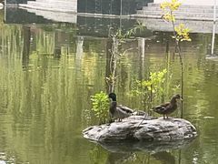 -望湖公园