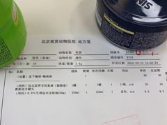 -北京观赏动物医院·24小时大型综合·猫专科·异宠专科