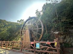 -海南霸王岭国家森林公园