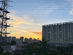 -立新湖公园