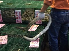 -荔城生鲜盛宴(番禺旗舰店)