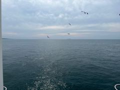 -海驴岛(荣成市)