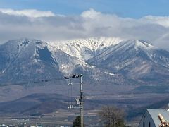 -富田农场