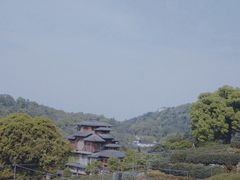 -龙井村