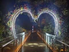 -巴倒烫陆派火锅山庄(南山总店)
