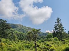 -硗碛藏寨·神木垒景区