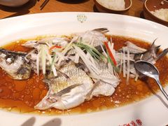 -丹江渔村(望京店)