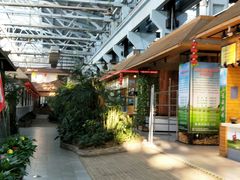 -森谷美食公园(杨行店)