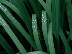 -西湖风景区-江洋畈生态公园