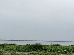 -莲花岛景区