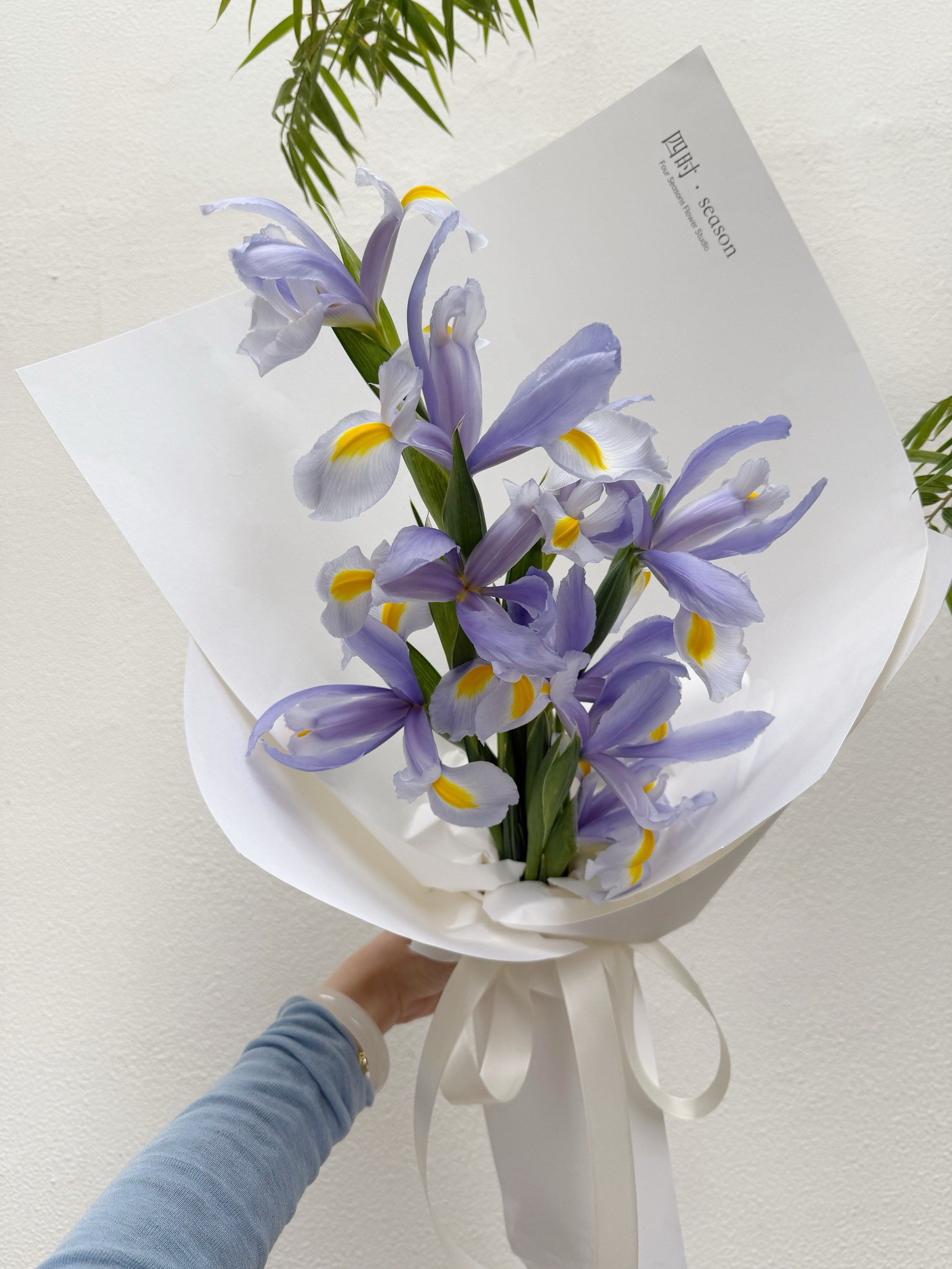 拍出春日氛围感
#紫色系花束
#鸢尾花 
#38女神节花束 
