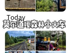 -莫尔道嘎国家森林公园