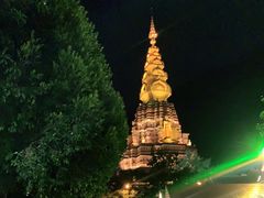 -纳兰傣雀傣味餐厅