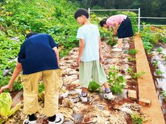 -昆明春城湖畔度假村