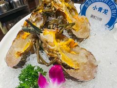 -东海怡品海鲜豆捞(舟宿夜江店)
