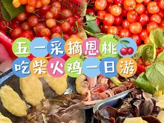 -桃源山庄·水蜜桃采摘·柴火鸡·烧烤团建(龙泉山店)