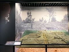 -四川大学博物馆