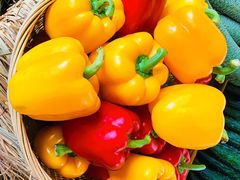 -中国天府农业博览园