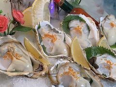 -千岛蚝高压锅生蚝·人参火锅(白云万达店)