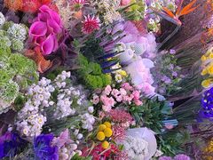 -花鸟鱼虫鲜花绿植市场(玉泉路店)