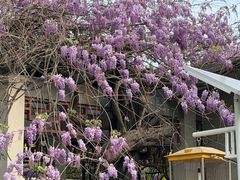 -郑和公园