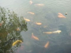 -二一九公园