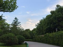 -燕郊植物园