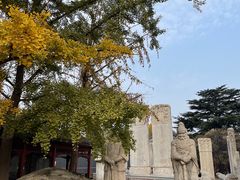 -北京石刻艺术博物馆(五塔寺)