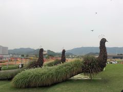 -光明小镇欢乐田园