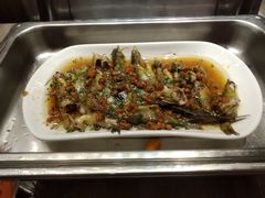 黄骨鱼-万德诺富特酒店·自助餐厅(万德大厦店)