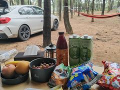 -东海森林温泉度假酒店