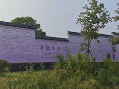 -杭州湾海上花田景区