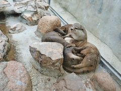 -西霞口神雕山野生动物世界