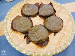 农家艾叶粑-谢三姐金奖啤酒鱼(总店)