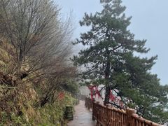 -塔云山