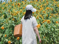 -苏州湾体育公园