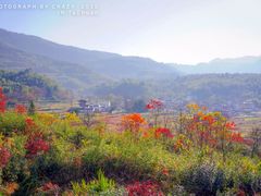 -塔川景区