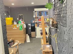 -壹迦桌游·血染钟楼剧本杀狼人杀