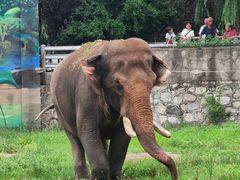 -西安秦岭野生动物园