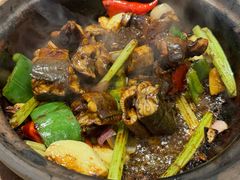 -天宝食坊·啫啫煲大排档(西华路店)