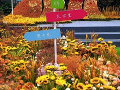-1192弄老上海风情街(世纪汇广场店)
