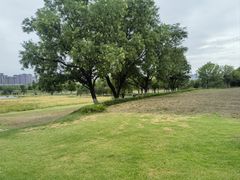 -汉长安城未央宫国家考古遗址公园