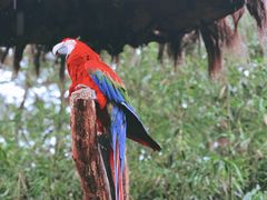 -云南野生动物园