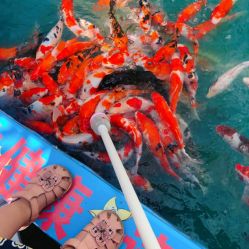 -萌宠亲子动物乐园(槐房万达店)