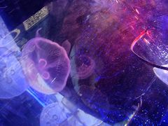 -蘭亭·新都汇